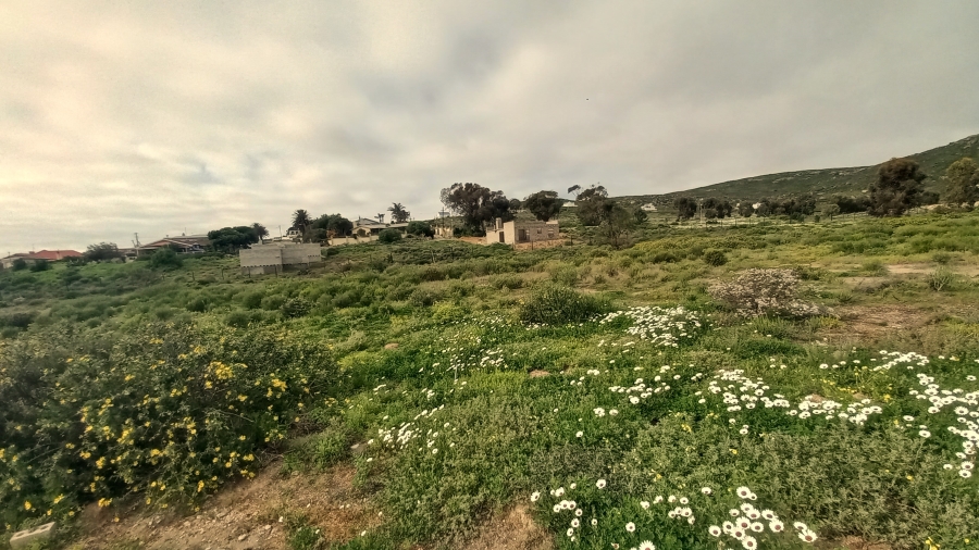 0 Bedroom Property for Sale in Steenbergs Cove Western Cape